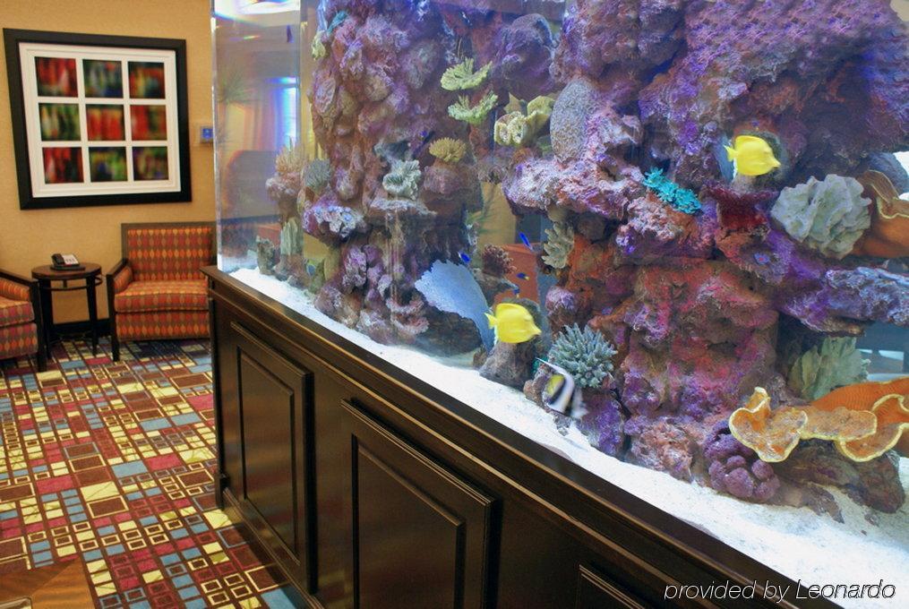 Homewood Suites Fort Myers Airport - Fgcu Interior photo